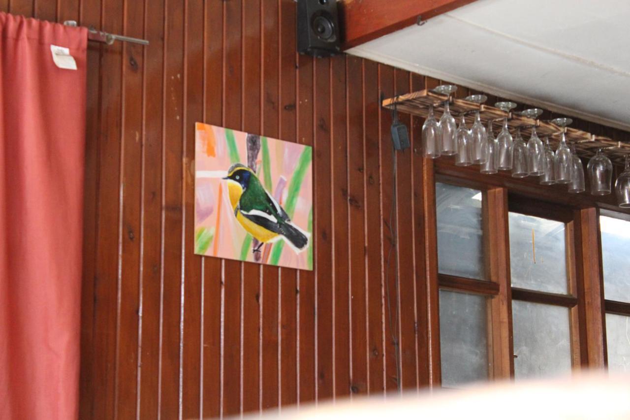 Casa Piwke Bed & Breakfast Coyhaique Luaran gambar